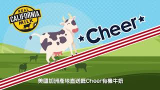 BV製作：CHEER 滋味鮮牛奶【QUESTAR AWARDS 2021】得獎廣告